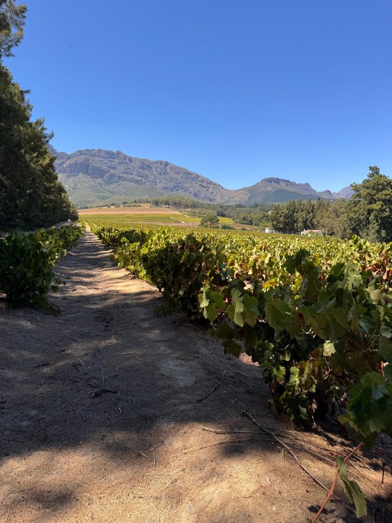 Riebeek Valley Single Barrel Wine Co